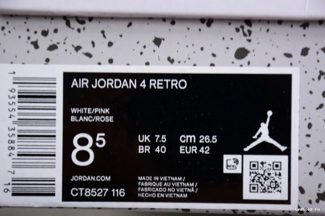 4  CT8527-116 Cacao Wow GS Jordan Air 0205